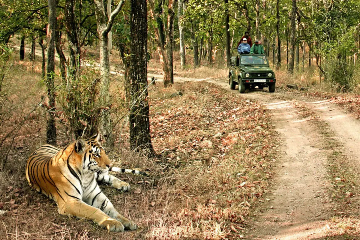  Bandhavgarh National Park