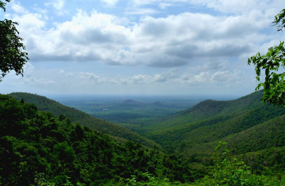 Nagarhole National Park – Bilgiri Rangan Hills