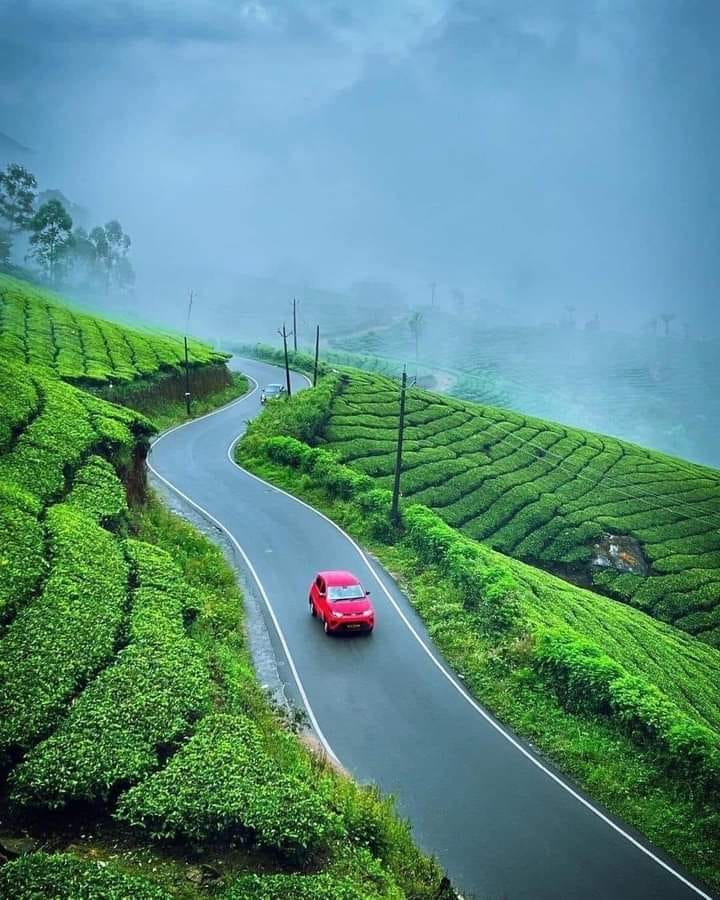 Ooty – Munnar – Eravikulam National Park
