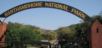  Bharatpur – Ranthambore (200 km / 4 hrs. approx.)