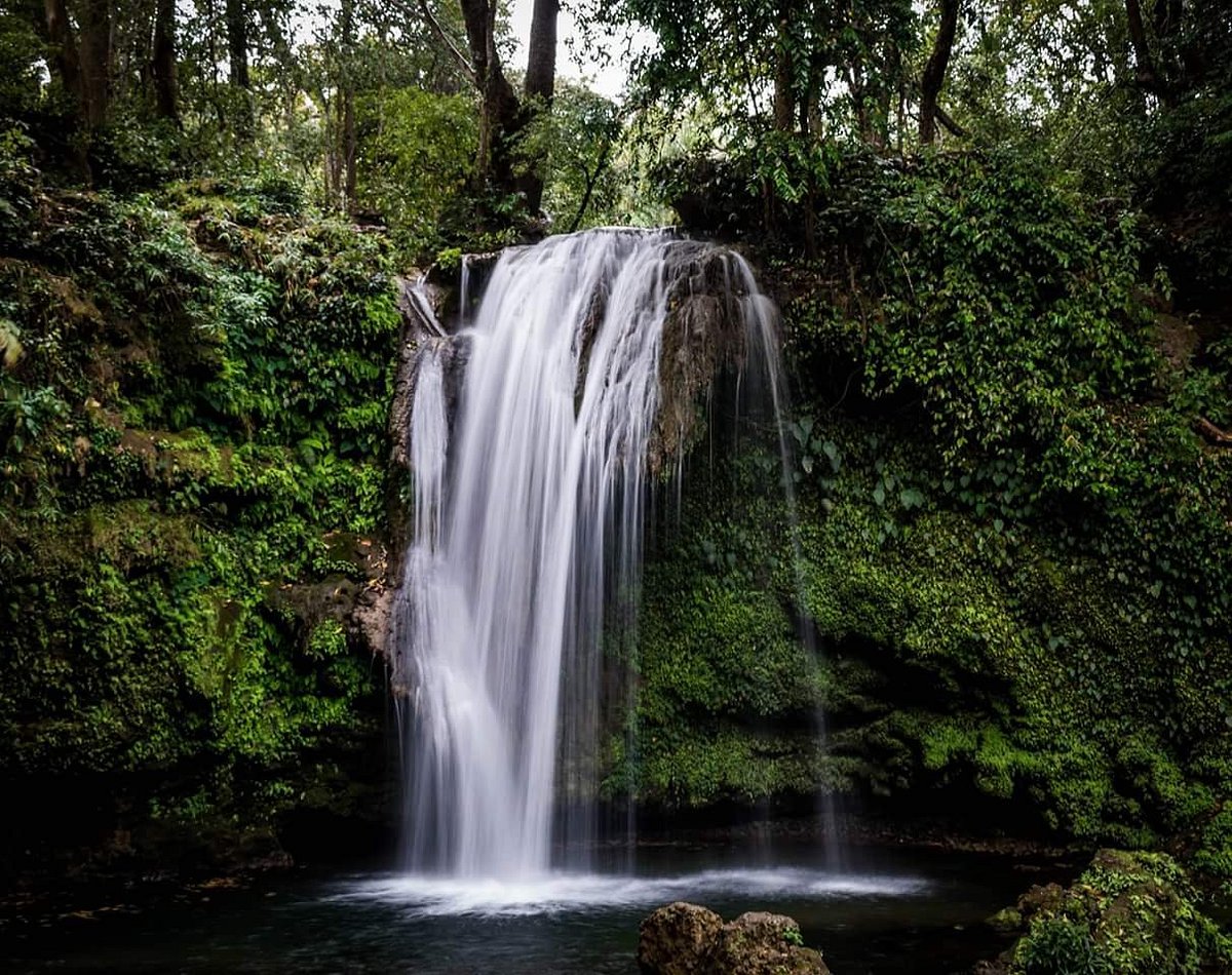 Corbett National Park – Delhi