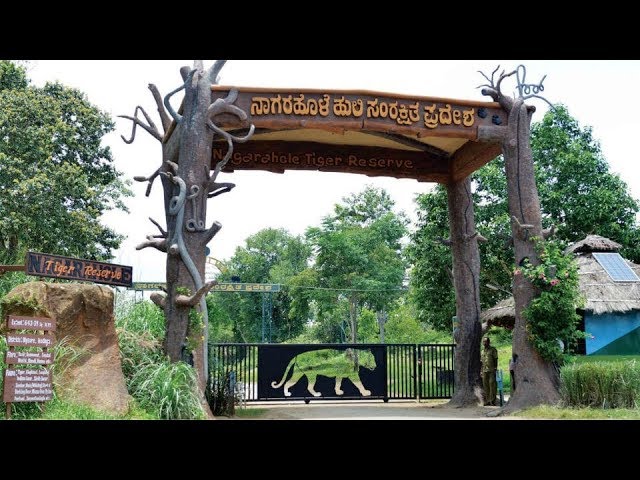 Bangalore – Nagarhole National Park