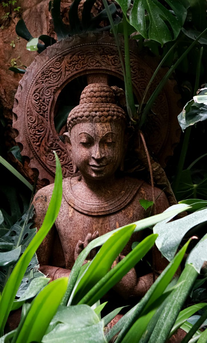 pexels-abhi31-27554038